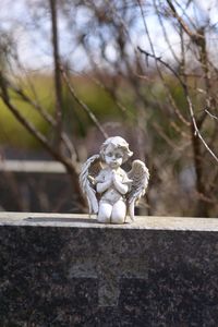 Close-up of statue against tree