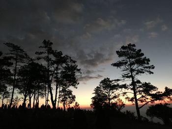 Low angle view of silhouette trees against sky during sunset