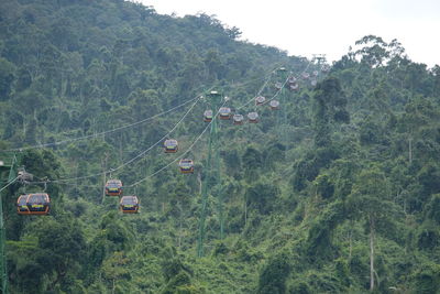 High angle view of trees on landscape