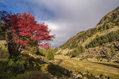 Scenic view of trees by mountains against sky