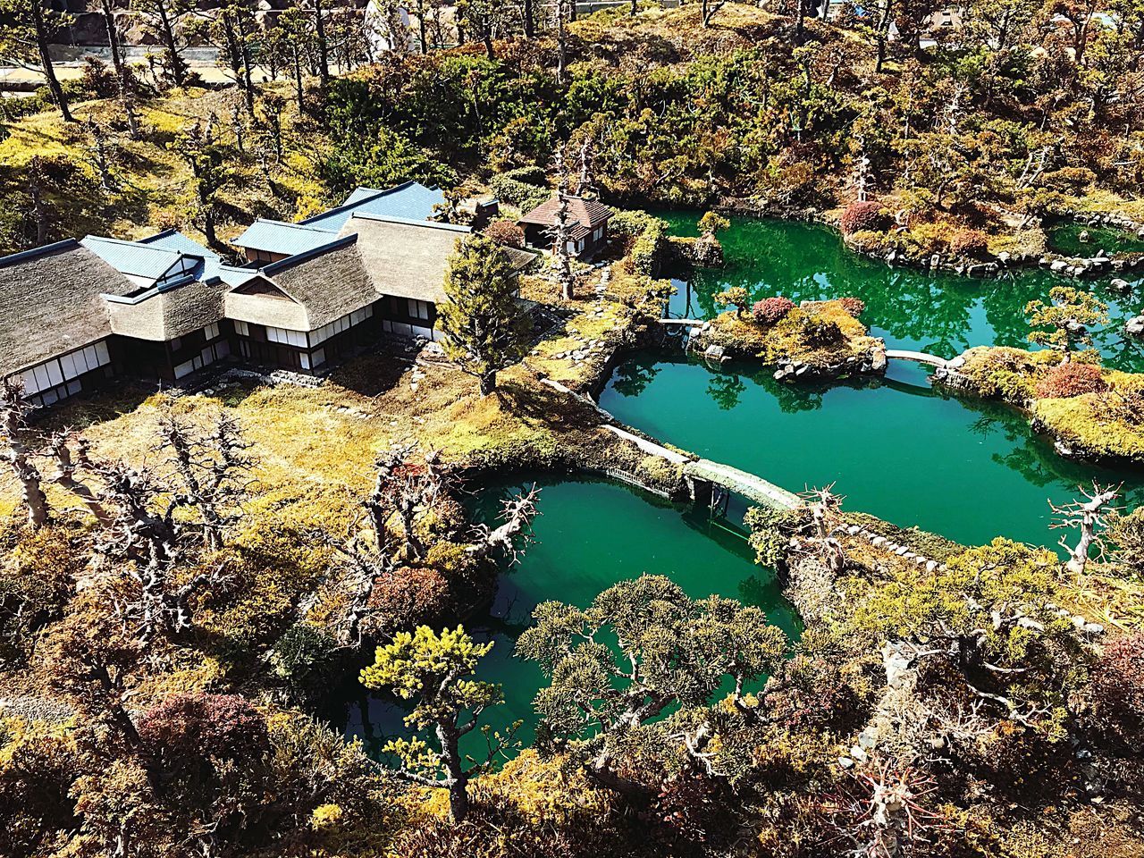 HIGH ANGLE VIEW OF PLANTS BY LAKE AGAINST BUILDING