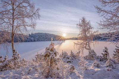 Winter by the lake in the wilderness