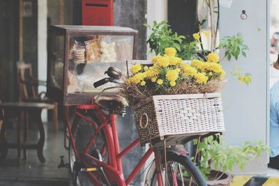 Potted plants in basket on table