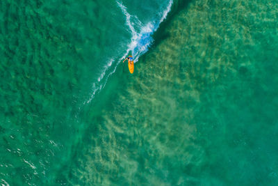 High angle view of person surfing in sea