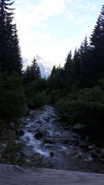 Scenic view of river against cloudy sky