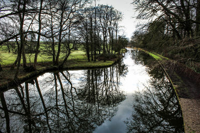 Scenic view of lake in forest against sky