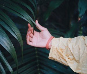 Close-up of hand touching leaves