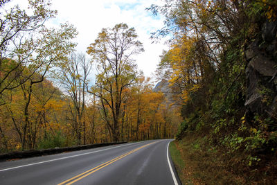 Road amidst trees in forest during autumn