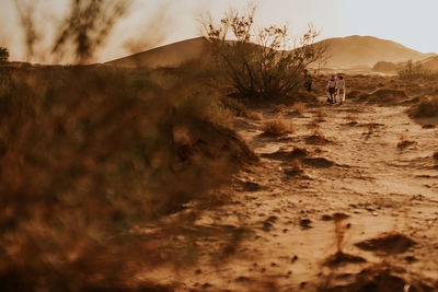 People walking on land against sky