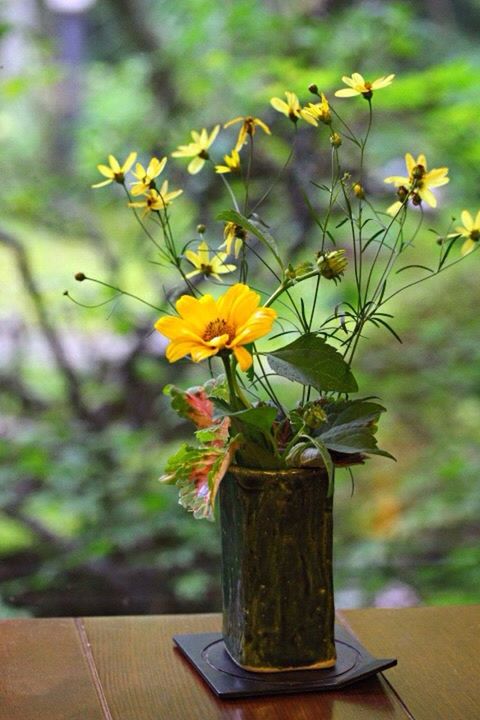 flower, freshness, petal, fragility, flower head, growth, yellow, beauty in nature, focus on foreground, plant, close-up, nature, stem, blooming, in bloom, blossom, botany, day, pollen, no people, outdoors, selective focus, daffodil, softness