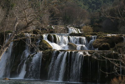 Scenic view of waterfall in forest