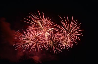 Low angle view of firework display at night