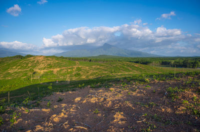 Scenic view of landscape against sky