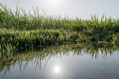 Scenic view of lake against sky