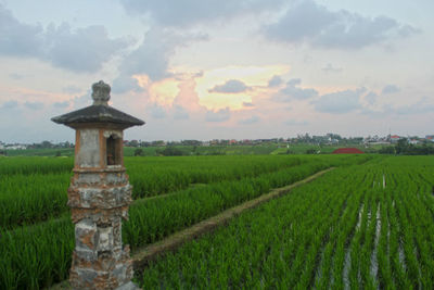 Scenic view of farm against sky during sunset