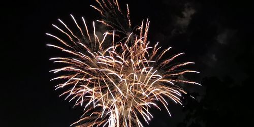 Low angle view of firework display at night