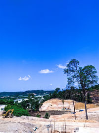 Trees and buildings against blue sky