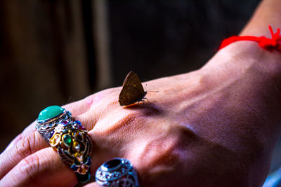 Cropped hand with butterfly