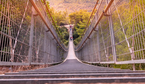 Footbridge amidst trees