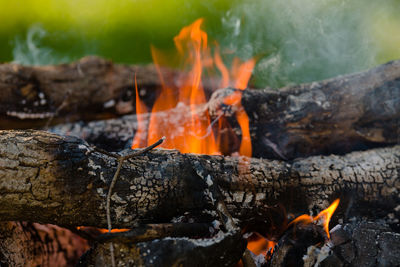 Close-up of bonfire on log