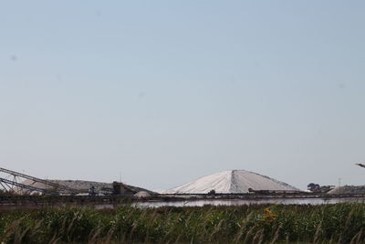 Scenic view of field against clear sky