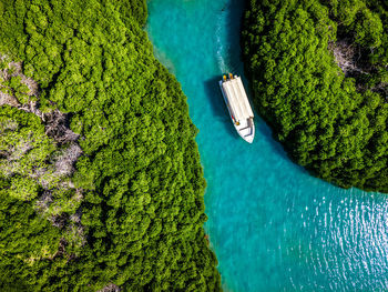 High angle view of plants by sea