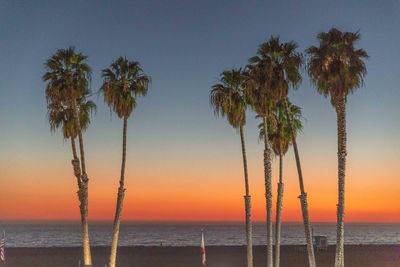 Palm trees on beach against sky during sunset