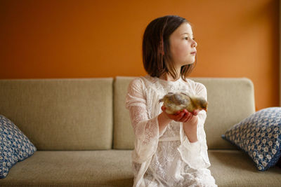 A serious child looks off to the side with a small baby chick in hands