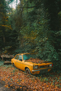 Car parked on field during autumn