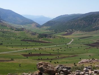 Scenic view of agricultural field against sky