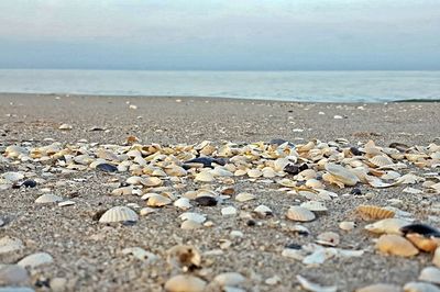 Close-up of pebbles on beach against sky