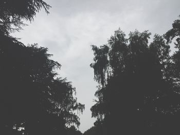 Low angle view of trees against cloudy sky