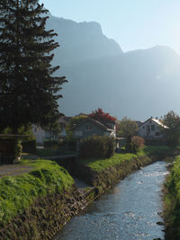 Trees and houses by river against sky