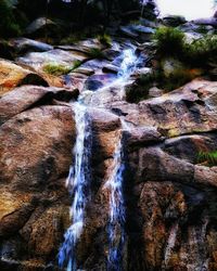 View of waterfall in forest