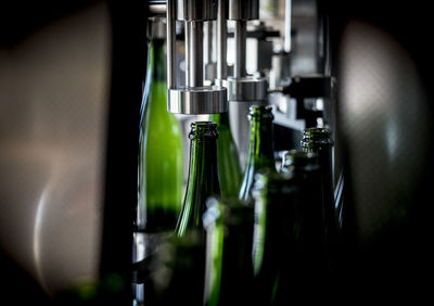 Close-up of wine bottles in glass