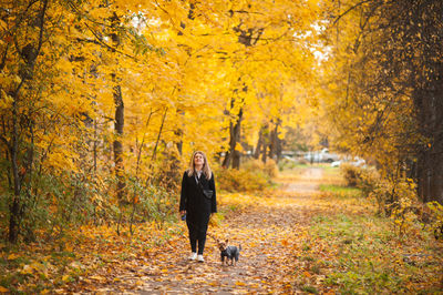 Woman in a black coat 
 walks through the autumn park with a small yorkshire terrier dog. 