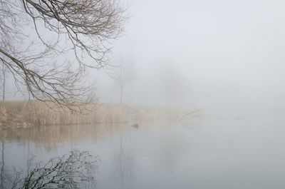 Scenic view of lake against sky during winter
