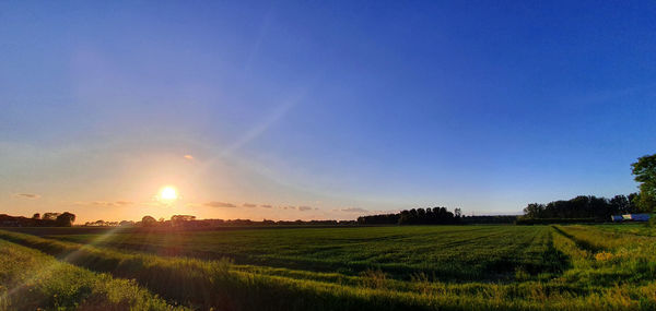 Scenic view of field against sky during sunset