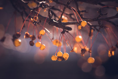 Close-up of illuminated hanging lights against sky