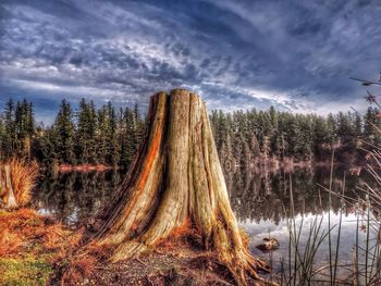 Scenic view of landscape against cloudy sky