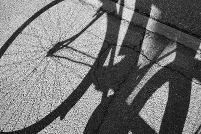 Shadow of a cyclist on the asphalt road.
sunlight. copy space.