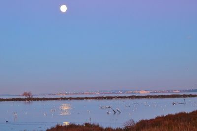 Scenic view of lake against clear blue sky