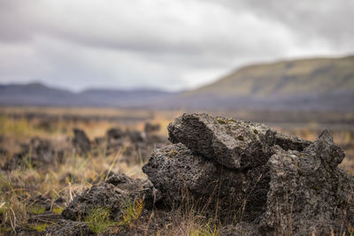 Close-up of rock on field against sky