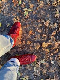 Low section of person standing by autumn leaves