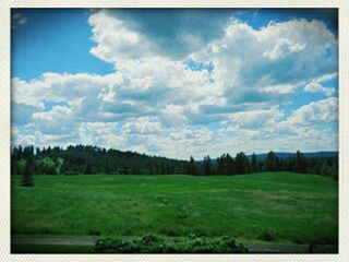 transfer print, grass, sky, field, auto post production filter, landscape, tranquil scene, cloud - sky, tranquility, tree, scenics, green color, grassy, beauty in nature, cloud, nature, cloudy, growth, rural scene, meadow