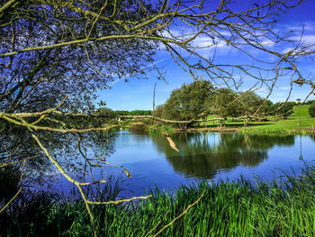 Scenic view of lake against clear blue sky