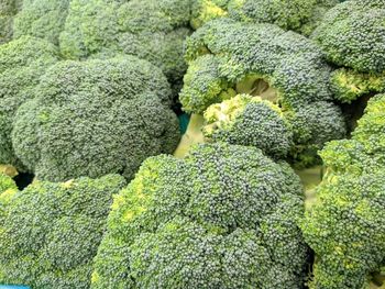 Full frame shot of vegetables