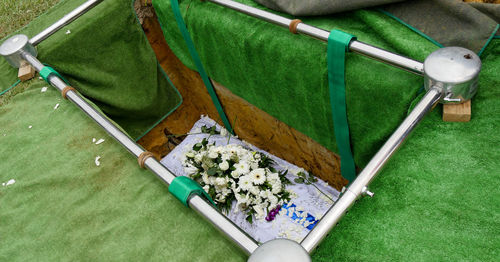 High angle view of flowers in hearse