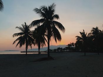 Silhouette palm trees on beach against sky at sunset