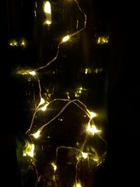 Close-up of illuminated christmas lights